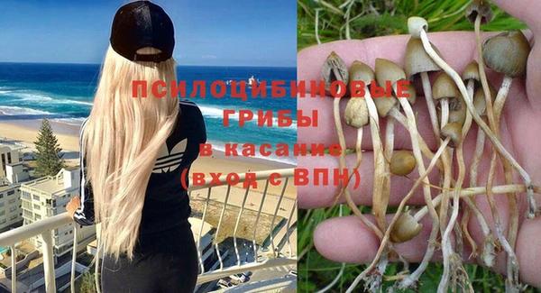 герыч Горняк