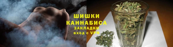 apvp Горно-Алтайск