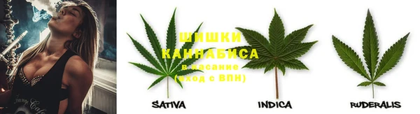 apvp Горно-Алтайск