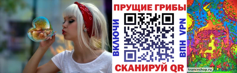 Галлюциногенные грибы мицелий  где можно купить наркотик  Лиски 